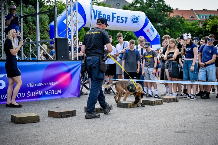 Snímek 232